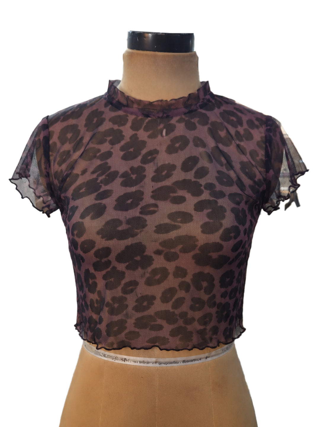 TOP00531-A02_5